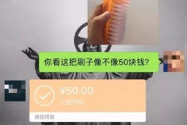 永清永清讨债公司服务